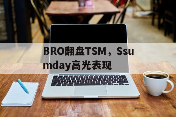 开云在线直播-BRO翻盘TSM，Ssumday高光表现的简单介绍